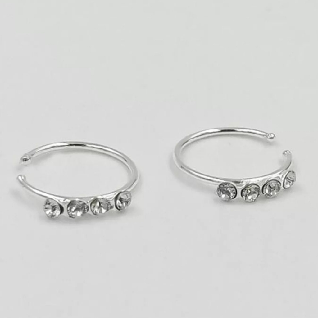2 Nose Ring Hoops